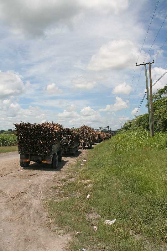 Mexico & Guatemala 2010 - 1191